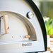 Igneus Pro 600 wood-fired pizza oven door and thermometer close up